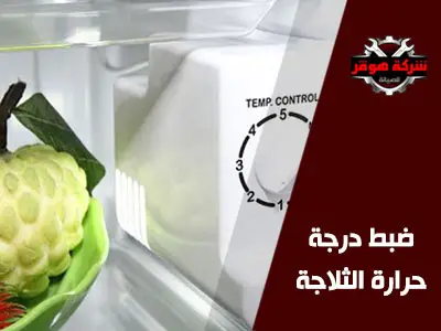 الطريقة الصحيحة لضبط درجة حرارة الثلاجة