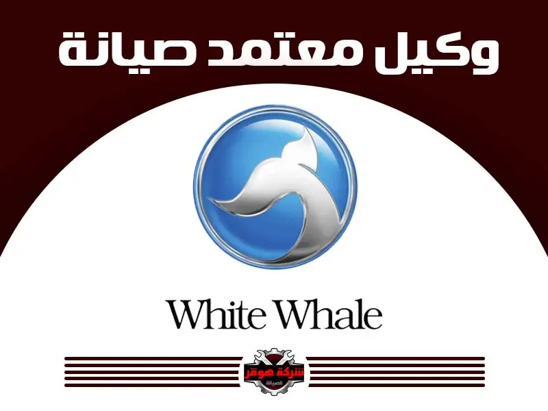 وايت ويل